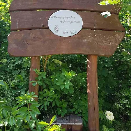 Kuti Vendeghaz Bakonykuti