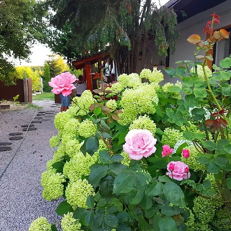 Guest house Kuti Vendeghaz
