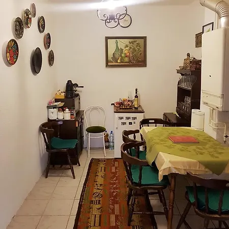 Kuti Vendeghaz *