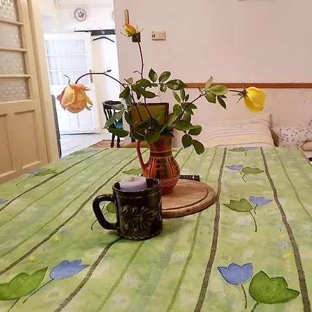 Πανσιόν Kuti Vendeghaz *