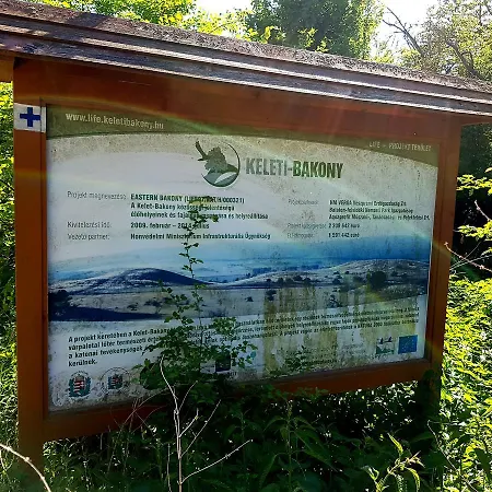 Kuti Vendeghaz Penzion *