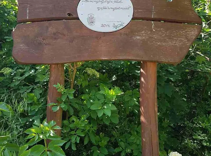 Kuti Vendeghaz Bakonykuti