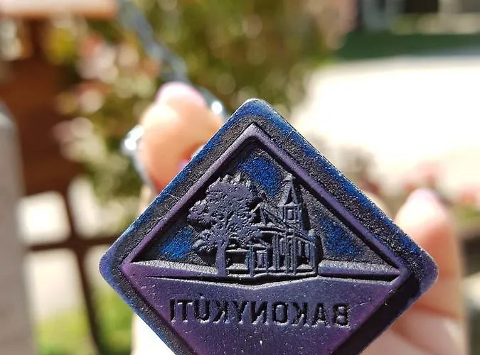 Guest house Kuti Vendeghaz