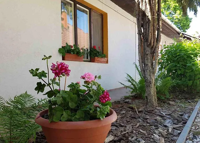 Kuti Vendeghaz Bakonykuti