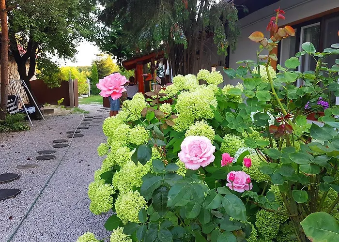 Guest house Kuti Vendeghaz