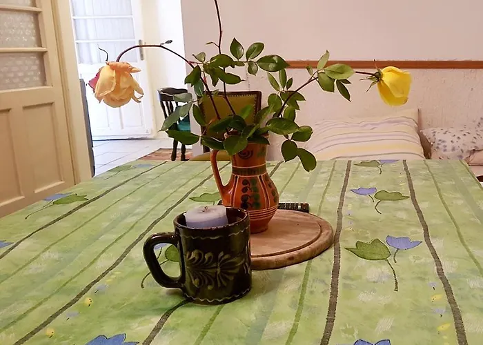 Guest house Kuti Vendeghaz *