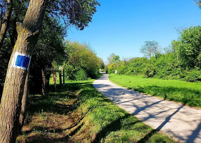 Kuti Vendeghaz Guest house Bakonykuti