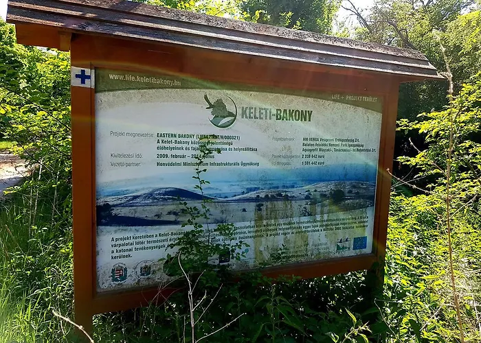 Kuti Vendeghaz Гостевой дом *