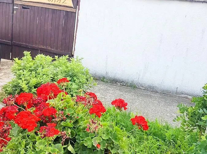 Гостевой дом Kuti Vendeghaz *