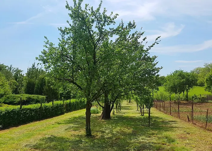 Guest house Kuti Vendeghaz