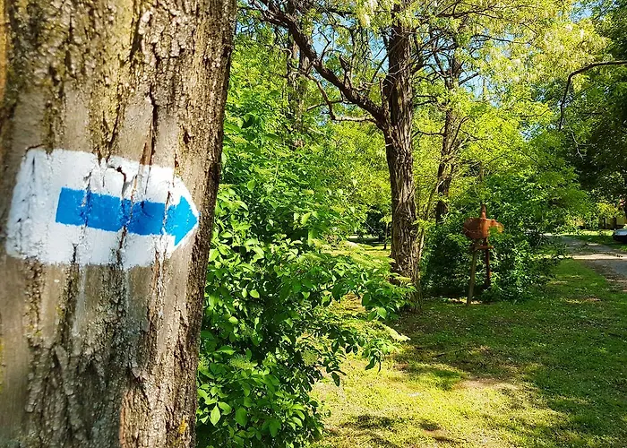 Kuti Vendeghaz Guest house