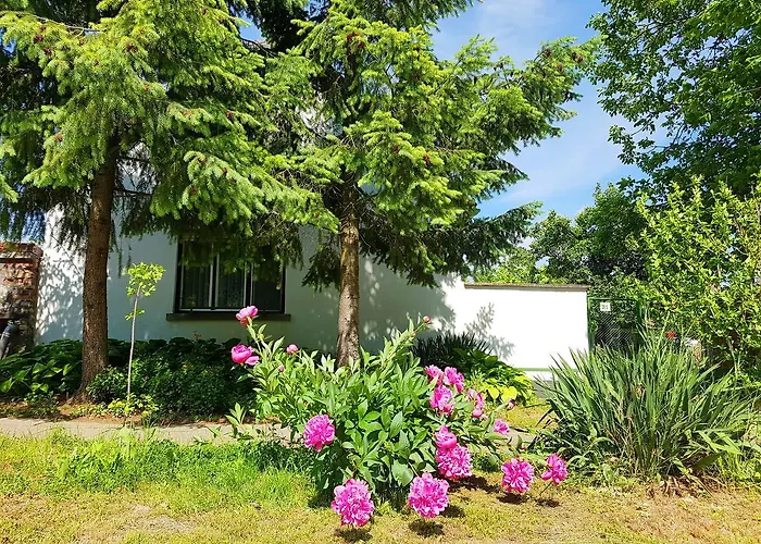 Kuti Vendeghaz Guest house *