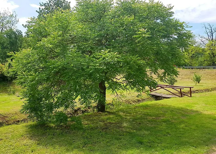 Kuti Vendeghaz Guest house Bakonykuti