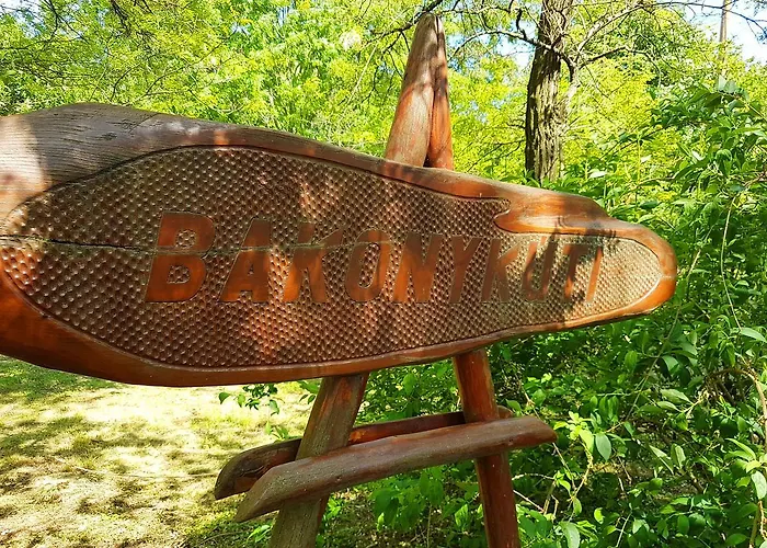 Guest house Kuti Vendeghaz